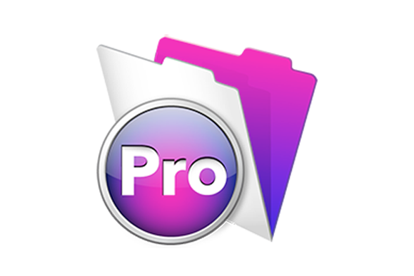 filemaker pro 13